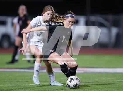 Thumbnail 3 in Birdville @ Argyle photogallery.