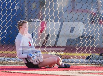 Thumbnail 1 in Birdville @ Argyle photogallery.