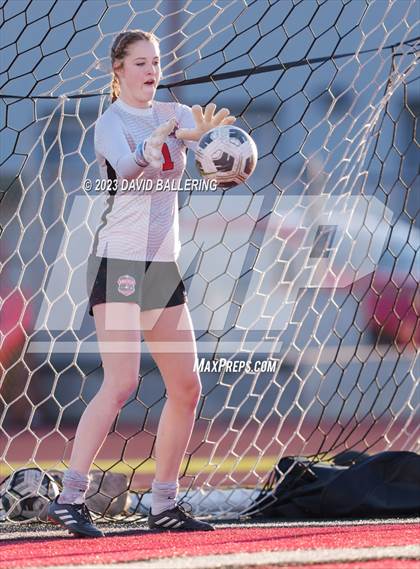 Thumbnail 2 in Birdville @ Argyle photogallery.