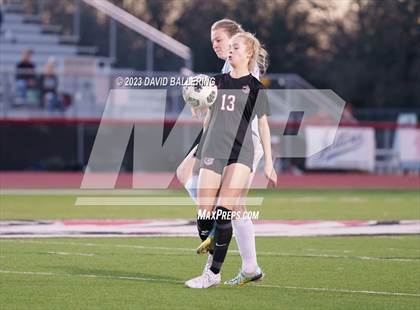 Thumbnail 3 in Birdville @ Argyle photogallery.