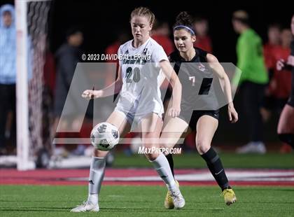 Thumbnail 2 in Birdville @ Argyle photogallery.