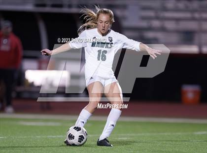 Thumbnail 2 in Birdville @ Argyle photogallery.