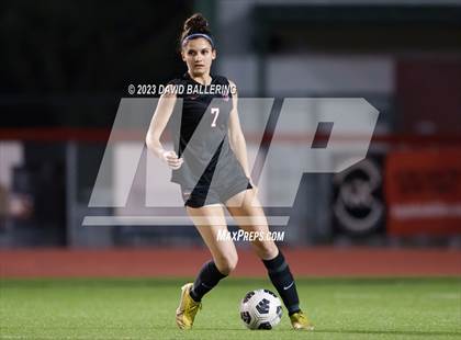 Thumbnail 1 in Birdville @ Argyle photogallery.
