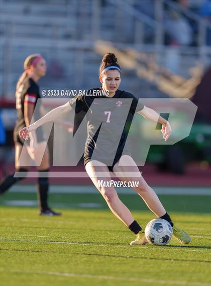 Thumbnail 3 in Birdville @ Argyle photogallery.