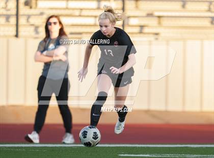 Thumbnail 3 in Birdville @ Argyle photogallery.