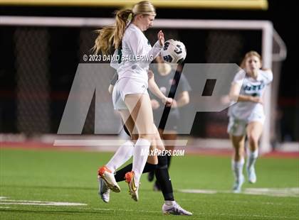 Thumbnail 2 in Birdville @ Argyle photogallery.