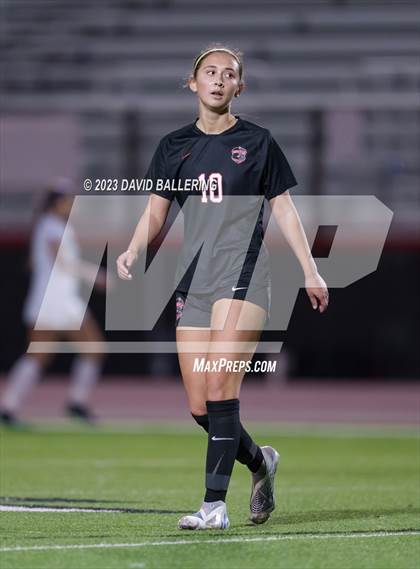 Thumbnail 3 in Birdville @ Argyle photogallery.