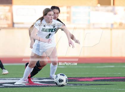 Thumbnail 1 in Birdville @ Argyle photogallery.