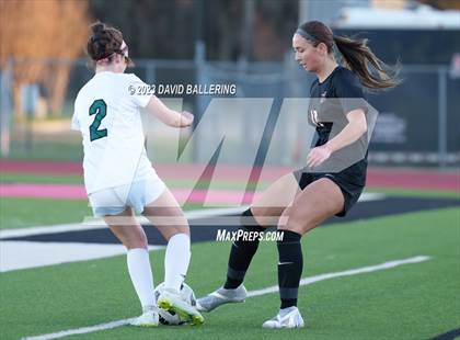 Thumbnail 2 in Birdville @ Argyle photogallery.