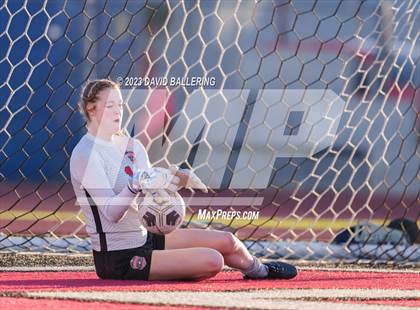 Thumbnail 3 in Birdville @ Argyle photogallery.