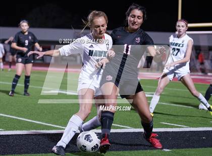 Thumbnail 1 in Birdville @ Argyle photogallery.