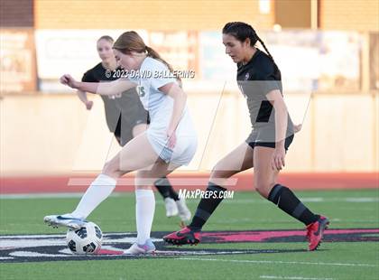 Thumbnail 2 in Birdville @ Argyle photogallery.