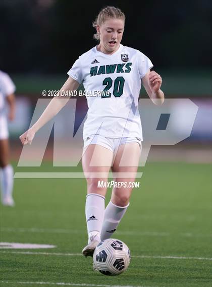 Thumbnail 1 in Birdville @ Argyle photogallery.