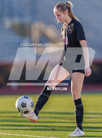 Thumbnail 2 in Birdville @ Argyle photogallery.