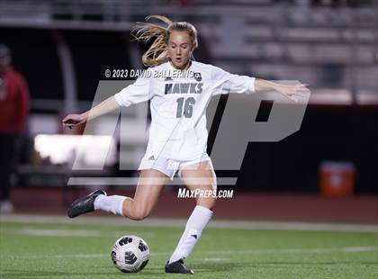 Thumbnail 1 in Birdville @ Argyle photogallery.
