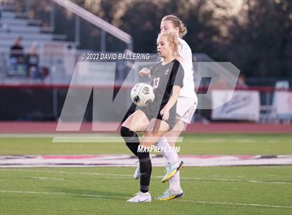 Thumbnail 1 in Birdville @ Argyle photogallery.