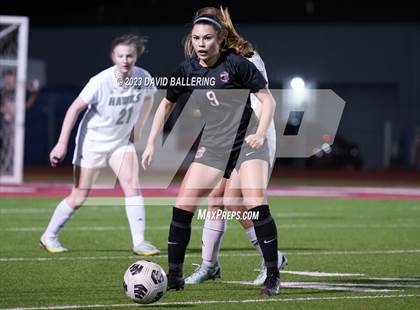 Thumbnail 3 in Birdville @ Argyle photogallery.