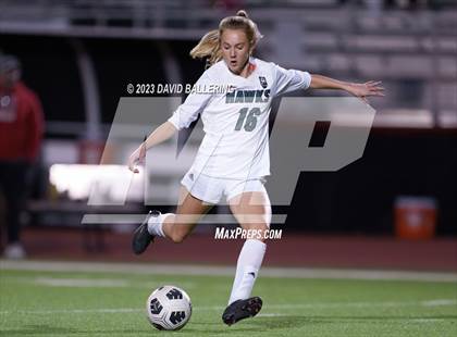Thumbnail 2 in Birdville @ Argyle photogallery.