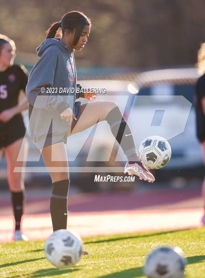 Thumbnail 2 in Birdville @ Argyle photogallery.