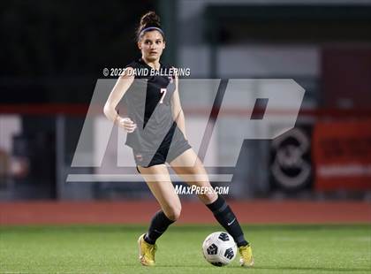 Thumbnail 3 in Birdville @ Argyle photogallery.