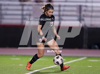 Thumbnail 3 in Birdville @ Argyle photogallery.