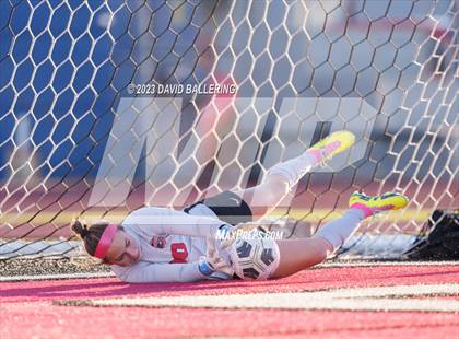 Thumbnail 2 in Birdville @ Argyle photogallery.
