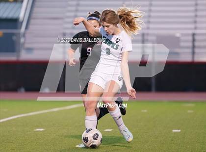 Thumbnail 3 in Birdville @ Argyle photogallery.