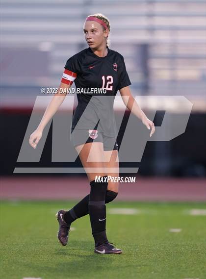 Thumbnail 3 in Birdville @ Argyle photogallery.