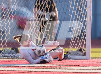 Thumbnail 3 in Birdville @ Argyle photogallery.