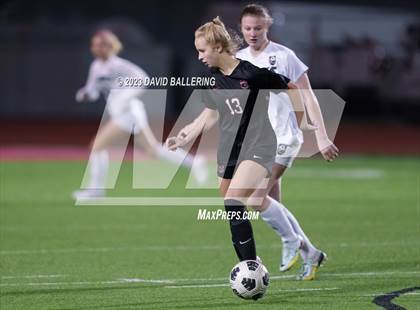 Thumbnail 2 in Birdville @ Argyle photogallery.