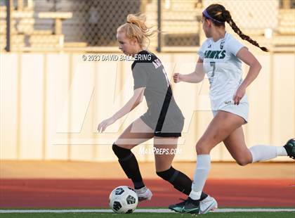 Thumbnail 1 in Birdville @ Argyle photogallery.