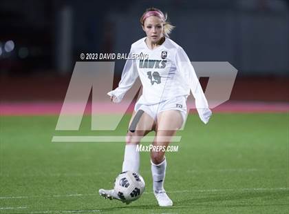 Thumbnail 3 in Birdville @ Argyle photogallery.