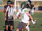 Photo from the gallery "Moorpark @ Royal"