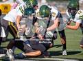 Photo from the gallery "Moorpark @ Royal"