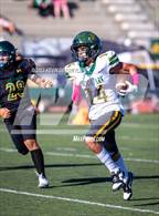 Photo from the gallery "Moorpark @ Royal"