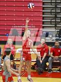 Photo from the gallery "Roncalli @ Fishers"