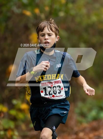 Thumbnail 3 in Needham @ Newton North photogallery.