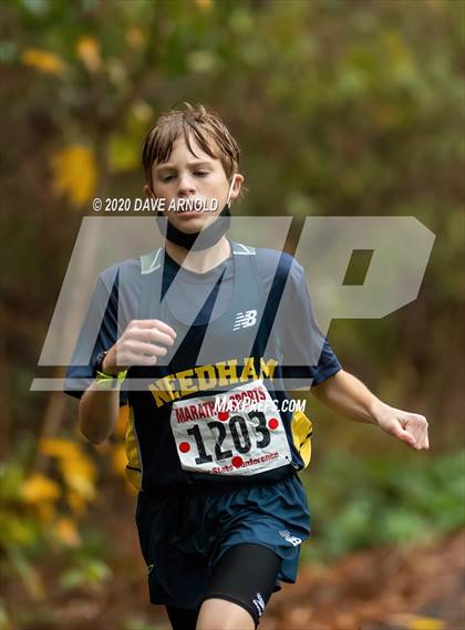 Thumbnail 2 in Needham @ Newton North photogallery.
