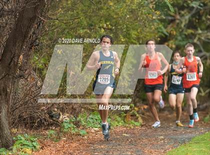 Thumbnail 3 in Needham @ Newton North photogallery.