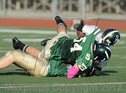 Thumbnail 3 in South Hills @ Damien photogallery.