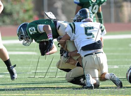 Thumbnail 1 in South Hills @ Damien photogallery.