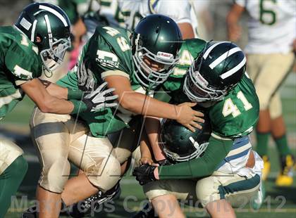 Thumbnail 2 in South Hills @ Damien photogallery.