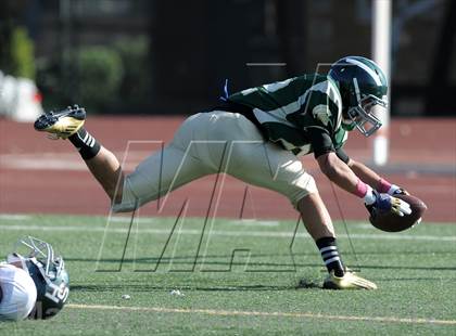 Thumbnail 2 in South Hills @ Damien photogallery.