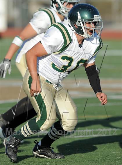 Thumbnail 1 in South Hills @ Damien photogallery.