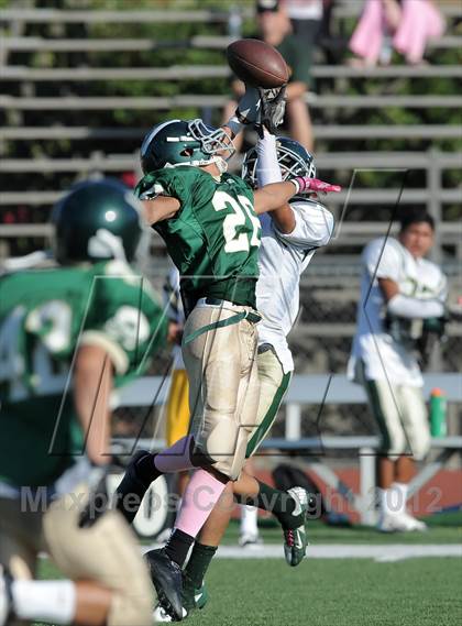 Thumbnail 2 in South Hills @ Damien photogallery.