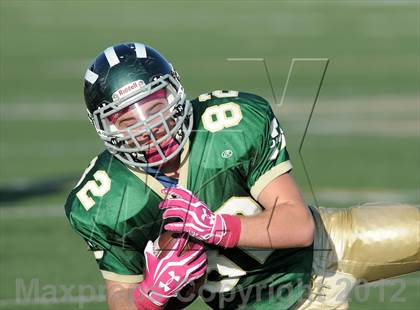 Thumbnail 2 in South Hills @ Damien photogallery.
