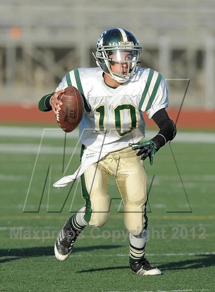 Thumbnail 3 in South Hills @ Damien photogallery.