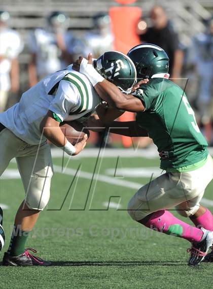 Thumbnail 3 in South Hills @ Damien photogallery.