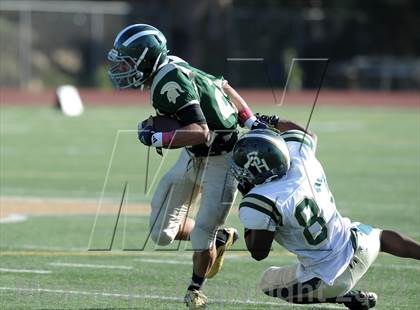 Thumbnail 3 in South Hills @ Damien photogallery.
