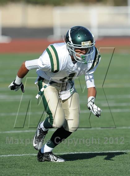 Thumbnail 2 in South Hills @ Damien photogallery.